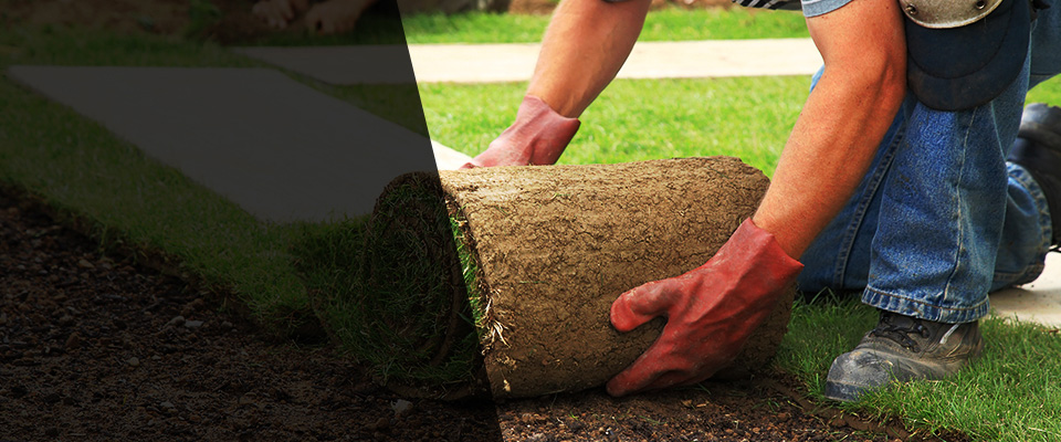 Vilas Landscapers